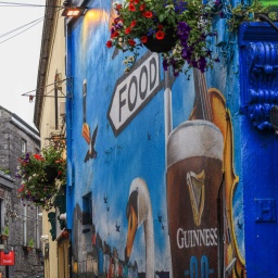 irland rundreise 2025_66